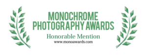 Monocrome Award Seal